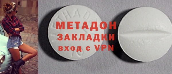 прущие грибы Абаза