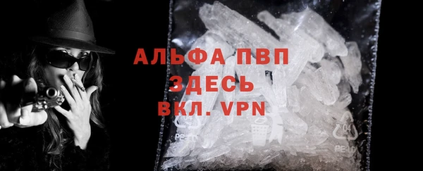 прущие грибы Абаза