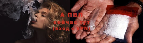прущие грибы Абаза