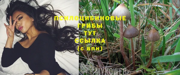 спиды Абдулино