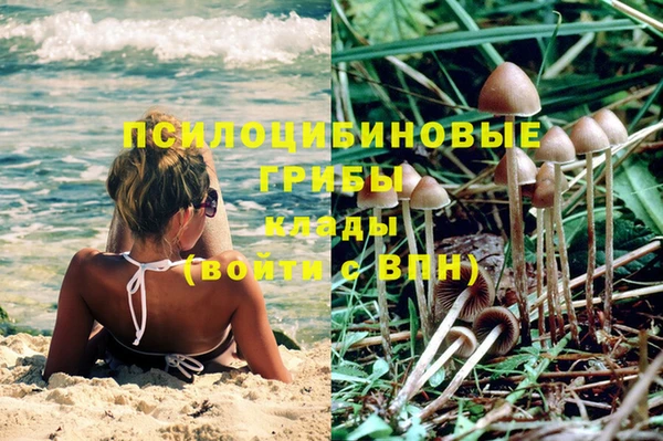 каннабис Алексеевка